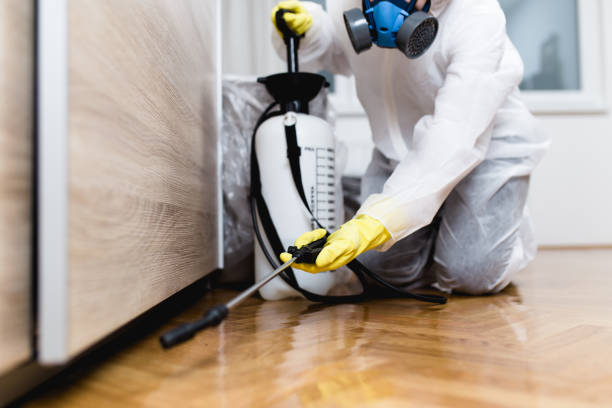 Best Best Pest Control Companies  in Wyomissing, PA