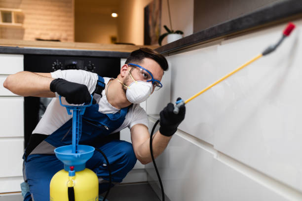 Best Cockroach Control Services  in Wyomissing, PA