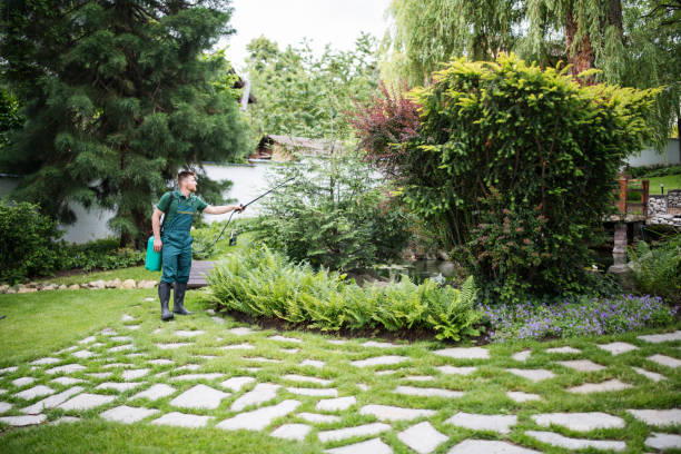 Best Commercial Pest Control Services  in Wyomissing, PA
