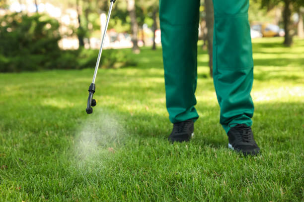 Best Affordable Pest Control Services  in Wyomissing, PA