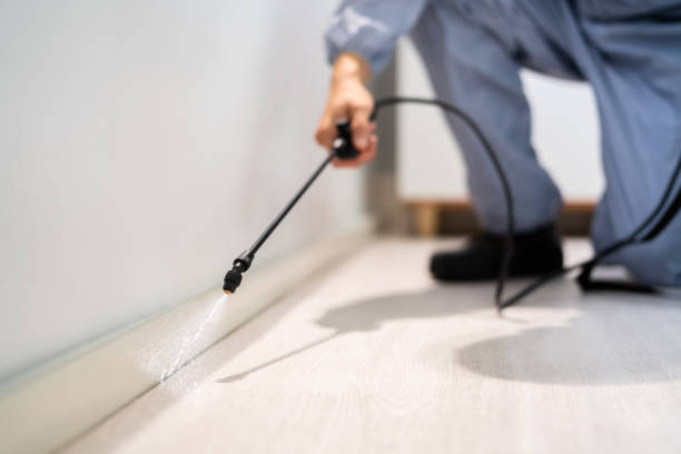 Professional Pest Control in Wyomissing, PA
