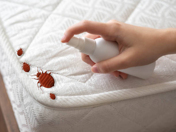 Best Pest Control Near Me  in Wyomissing, PA